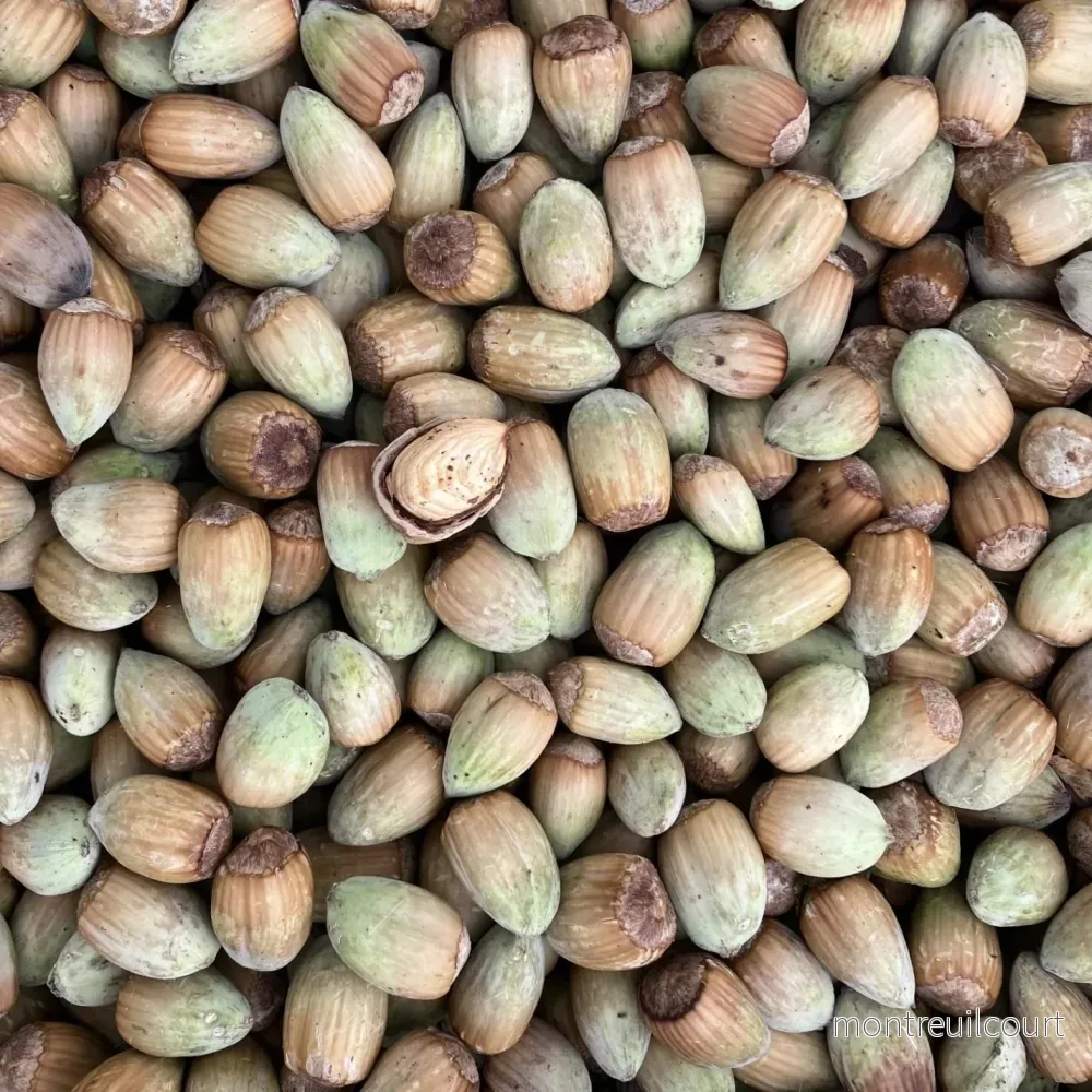Ekologisk dansk hasselnöt, 1,5 kg - Bild 2